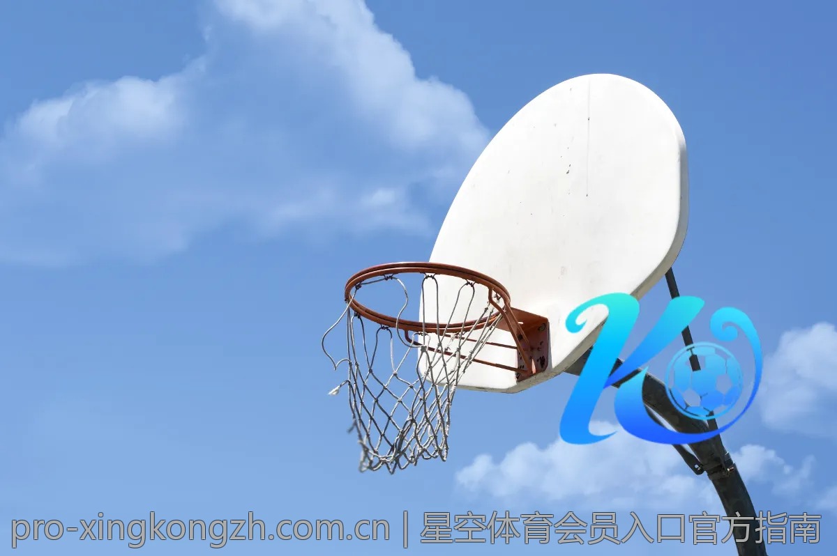 星空体育会员入口官方指南